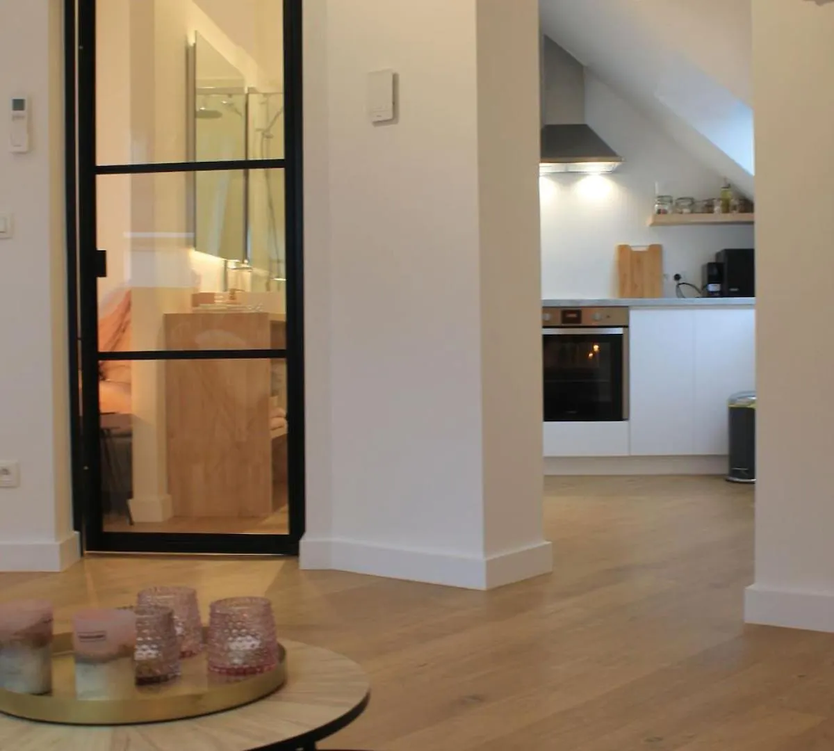Charming Apartment With Cathedral View! On The 4Th Floor Antwerp